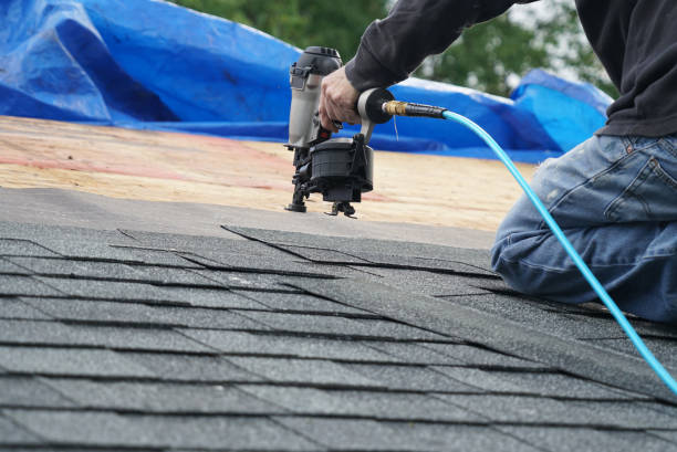 Best Roof Replacement Cost  in Carey, ID